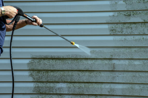 Best Patio and Deck Pressure Washing  in Bardstown, KY